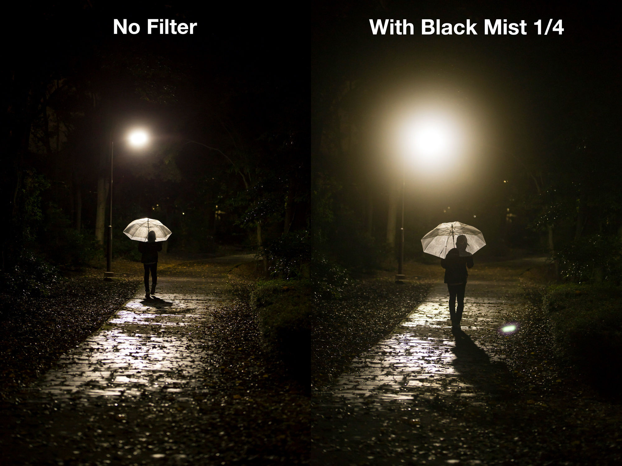 Black-Mist-1_4-LR.jpg