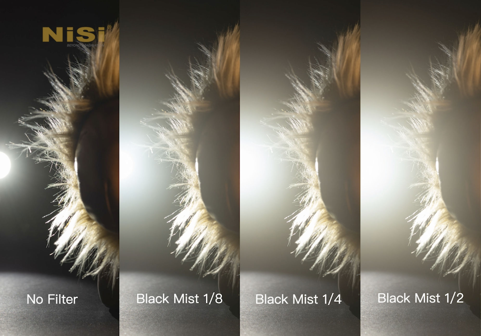 Black-Mist-Comparision-2.jpg